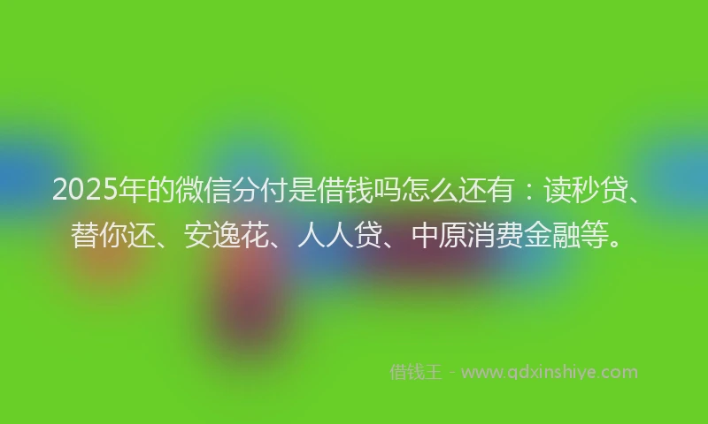 2025年的微信分付是借钱吗怎么还有：读秒贷、替你还、安逸花、人人贷、中原消费金融等。