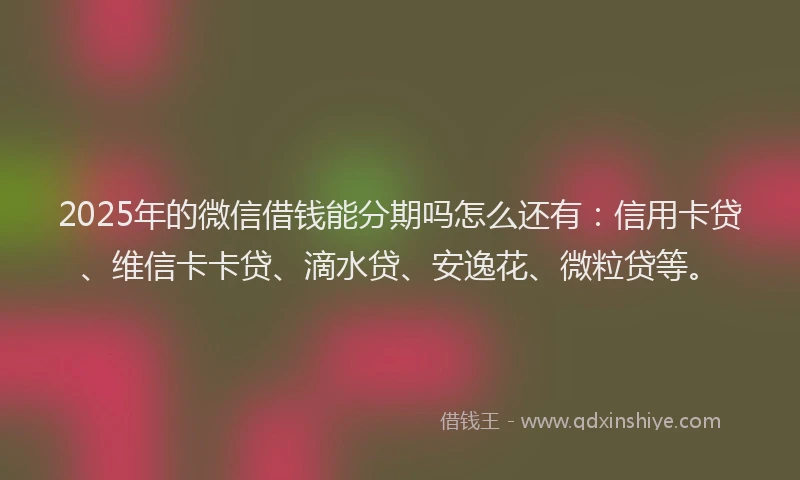 2025年的微信借钱能分期吗怎么还有：信用卡贷、维信卡卡贷、滴水贷、安逸花、微粒贷等。