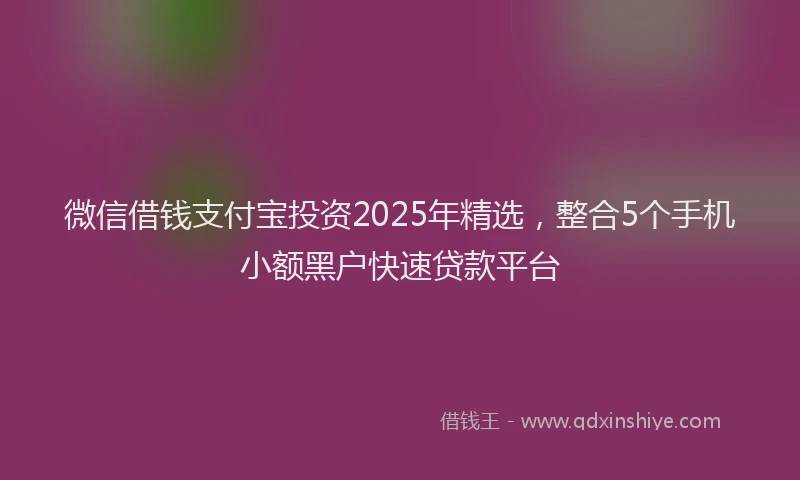 微信借钱支付宝投资2025年精选，整合5个手机小额黑户快速贷款平台