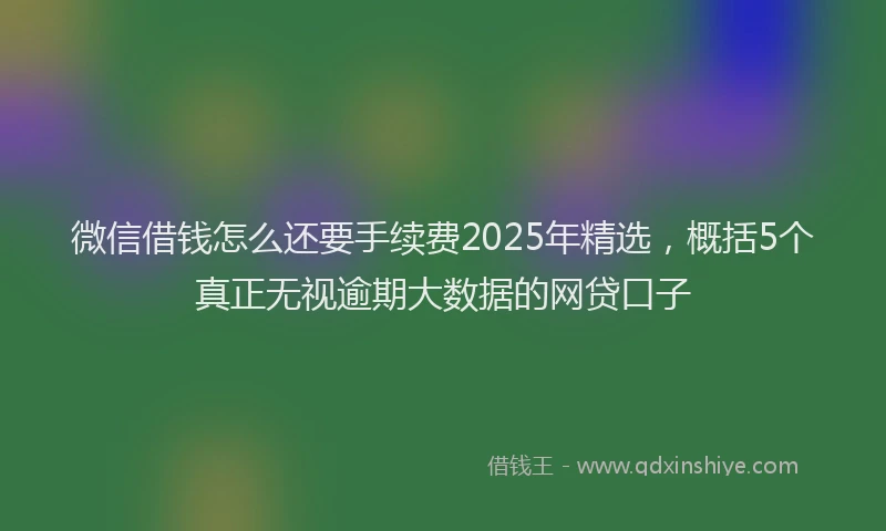 微信借钱怎么还要手续费2025年精选，概括5个真正无视逾期大数据的网贷口子