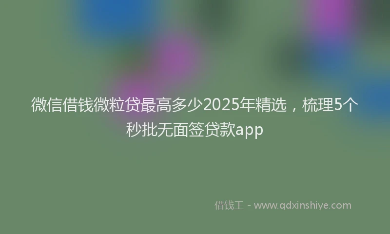 微信借钱微粒贷最高多少2025年精选，梳理5个秒批无面签贷款app