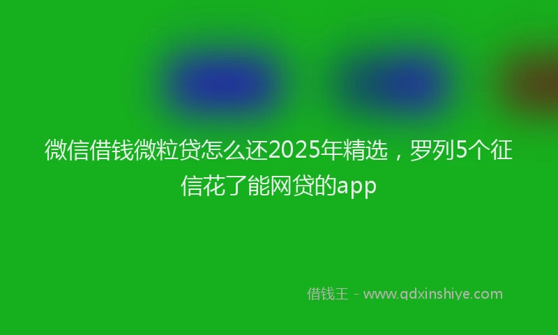 微信借钱微粒贷怎么还2025年精选，罗列5个征信花了能网贷的app
