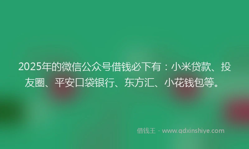 2025年的微信公众号借钱必下有：小米贷款、投友圈、平安口袋银行、东方汇、小花钱包等。