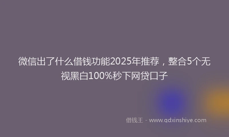 微信出了什么借钱功能2025年推荐，整合5个无视黑白100%秒下网贷口子