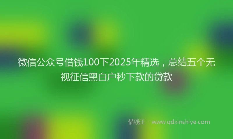 微信公众号借钱100下2025年精选，总结五个无视征信黑白户秒下款的贷款
