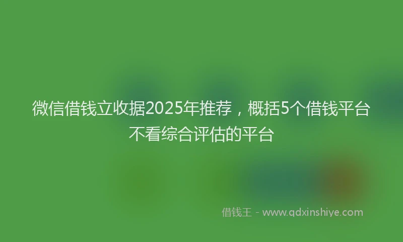 微信借钱立收据2025年推荐，概括5个借钱平台不看综合评估的平台