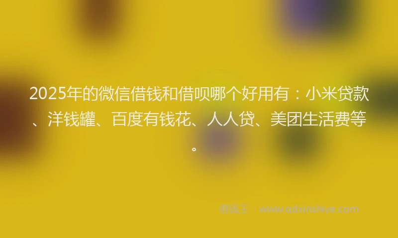 2025年的微信借钱和借呗哪个好用有：小米贷款、洋钱罐、百度有钱花、人人贷、美团生活费等。