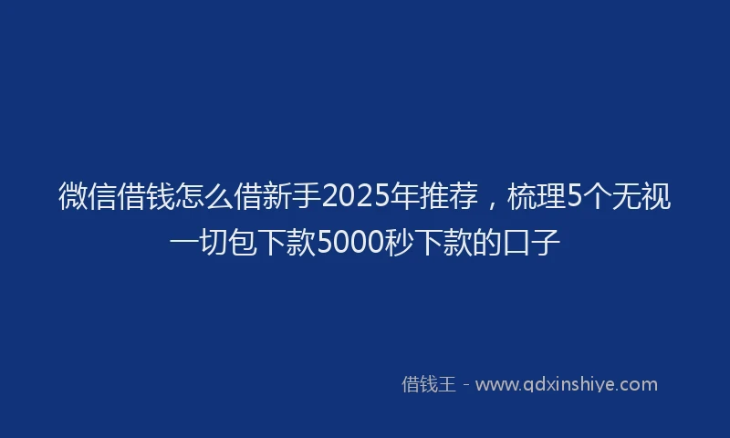 微信借钱怎么借新手2025年推荐，梳理5个无视一切包下款5000秒下款的口子