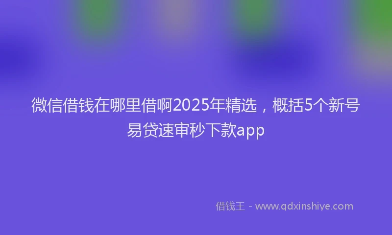 微信借钱在哪里借啊2025年精选，概括5个新号易贷速审秒下款app