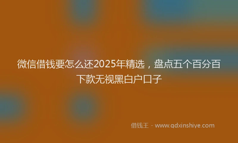微信借钱要怎么还2025年精选，盘点五个百分百下款无视黑白户口子