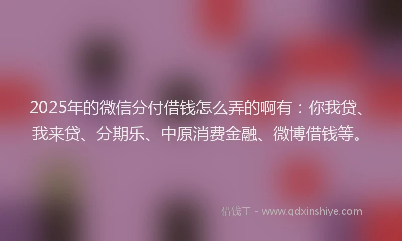 2025年的微信分付借钱怎么弄的啊有：你我贷、我来贷、分期乐、中原消费金融、微博借钱等。