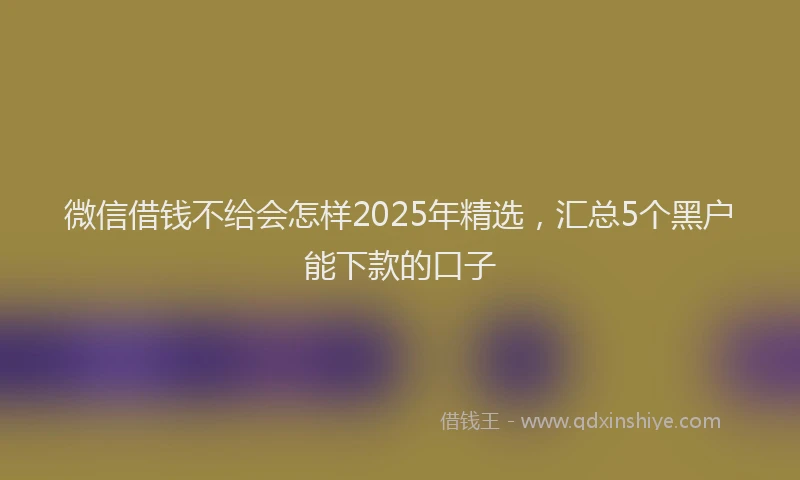 微信借钱不给会怎样2025年精选，汇总5个黑户能下款的口子