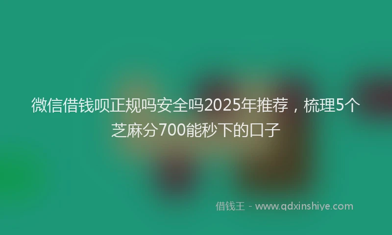 微信借钱呗正规吗安全吗2025年推荐，梳理5个芝麻分700能秒下的口子