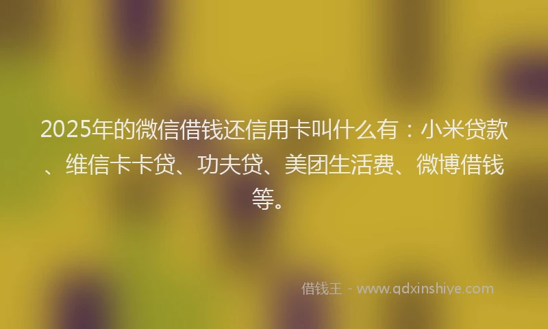 2025年的微信借钱还信用卡叫什么有：小米贷款、维信卡卡贷、功夫贷、美团生活费、微博借钱等。