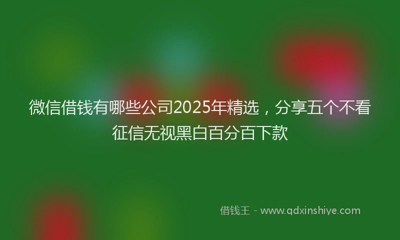微信借钱有哪些公司2025年精选，分享五个不看征信无视黑白百分百下款