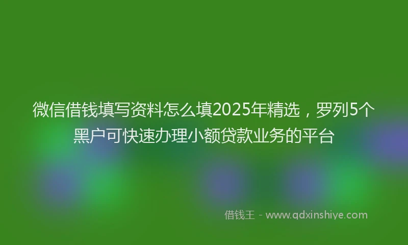 微信借钱填写资料怎么填2025年精选，罗列5个黑户可快速办理小额贷款业务的平台