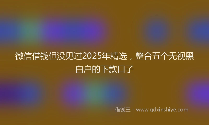 微信借钱但没见过2025年精选，整合五个无视黑白户的下款口子