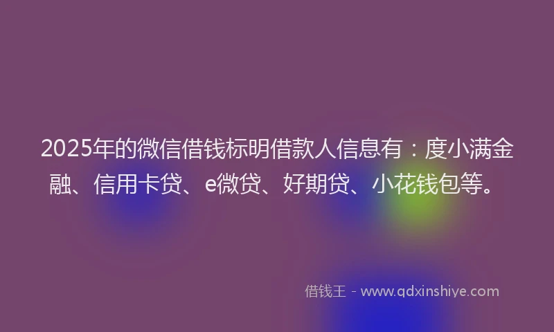 2025年的微信借钱标明借款人信息有：度小满金融、信用卡贷、e微贷、好期贷、小花钱包等。
