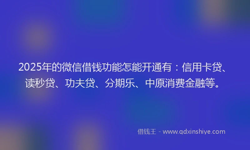 2025年的微信借钱功能怎能开通有：信用卡贷、读秒贷、功夫贷、分期乐、中原消费金融等。