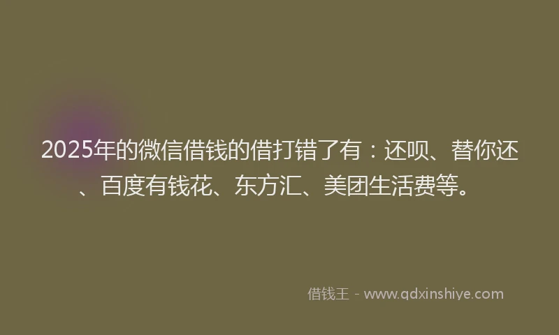 2025年的微信借钱的借打错了有：还呗、替你还、百度有钱花、东方汇、美团生活费等。