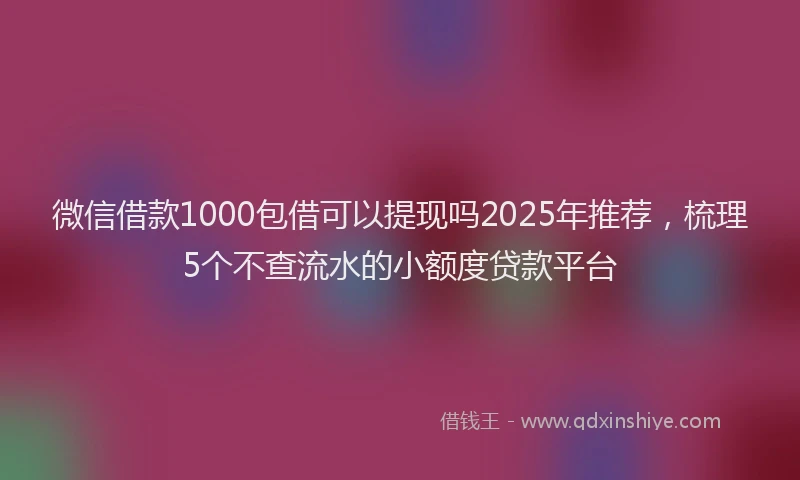 微信借款1000包借可以提现吗2025年推荐，梳理5个不查流水的小额度贷款平台