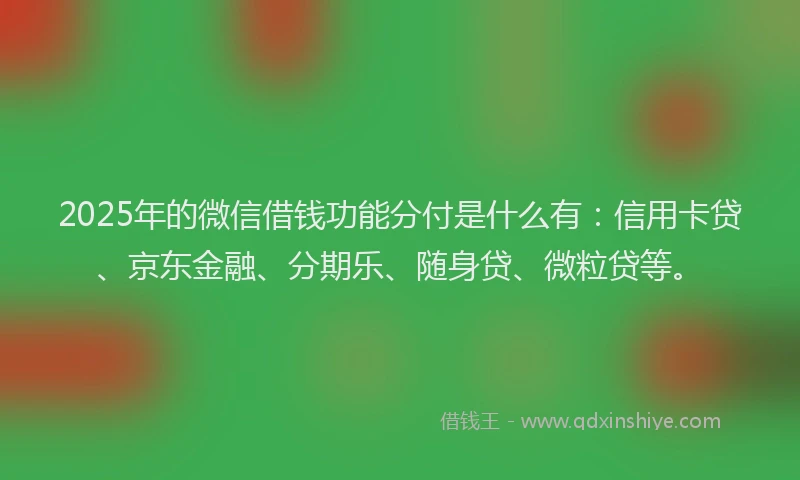 2025年的微信借钱功能分付是什么有：信用卡贷、京东金融、分期乐、随身贷、微粒贷等。