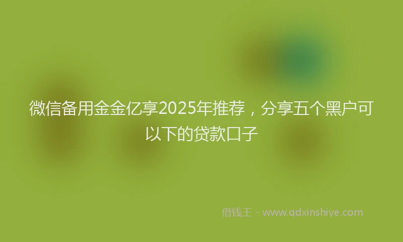 微信备用金金亿享2025年推荐，分享五个黑户可以下的贷款口子