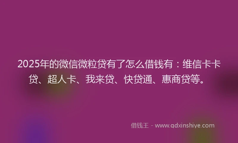 2025年的微信微粒贷有了怎么借钱有：维信卡卡贷、超人卡、我来贷、快贷通、惠商贷等。