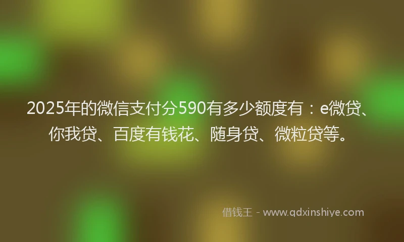 2025年的微信支付分590有多少额度有：e微贷、你我贷、百度有钱花、随身贷、微粒贷等。