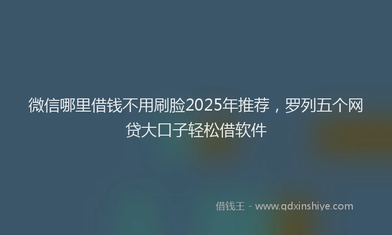 微信哪里借钱不用刷脸2025年推荐，罗列五个网贷大口子轻松借软件