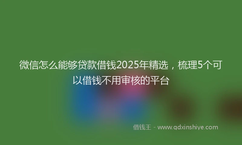 微信怎么能够贷款借钱2025年精选，梳理5个可以借钱不用审核的平台