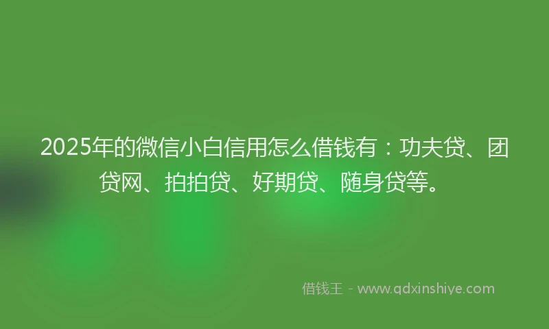 2025年的微信小白信用怎么借钱有:功夫贷、团贷网、拍拍贷、好期贷、随身贷等。