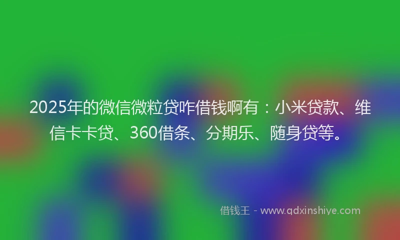2025年的微信微粒贷咋借钱啊有：小米贷款、维信卡卡贷、360借条、分期乐、随身贷等。