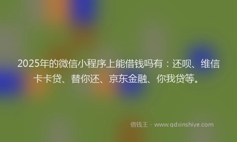 2025年的微信小程序上能借钱吗有：还呗、维信卡卡贷、替你还、京东金融、你我贷等。