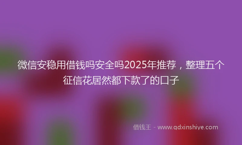 微信安稳用借钱吗安全吗2025年推荐，整理五个征信花居然都下款了的口子