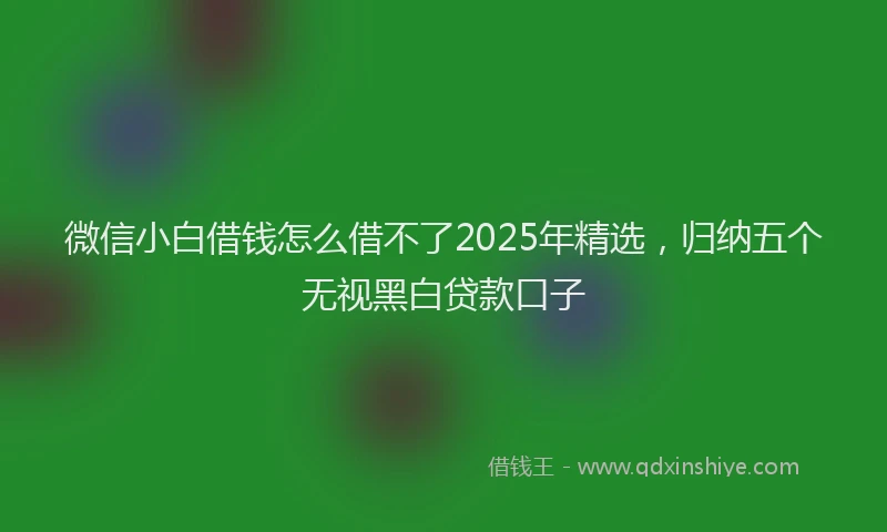 微信小白借钱怎么借不了2025年精选，归纳五个无视黑白贷款口子