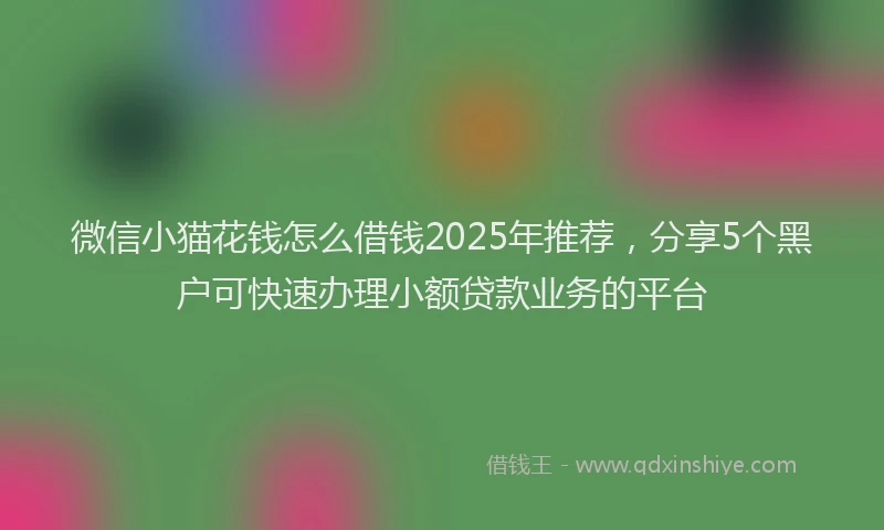 微信小猫花钱怎么借钱2025年推荐，分享5个黑户可快速办理小额贷款业务的平台