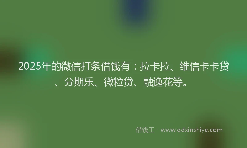 2025年的微信打条借钱有：拉卡拉、维信卡卡贷、分期乐、微粒贷、融逸花等。