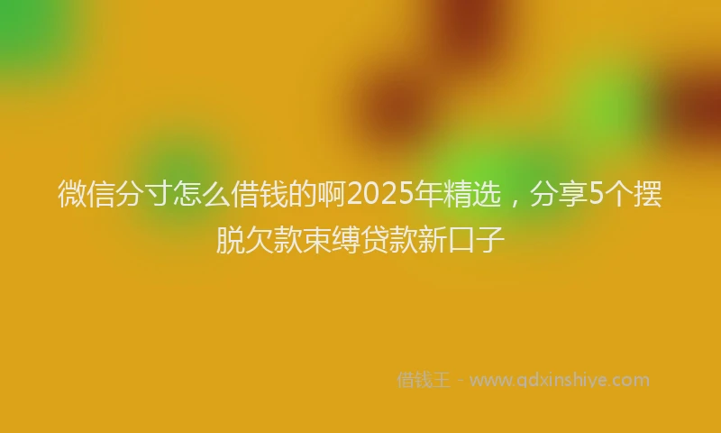 微信分寸怎么借钱的啊2025年精选，分享5个摆脱欠款束缚贷款新口子