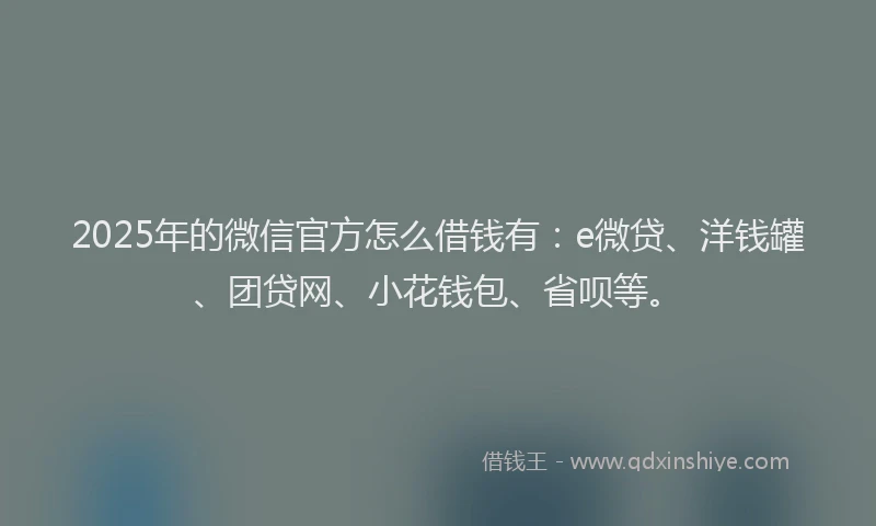 2025年的微信官方怎么借钱有：e微贷、洋钱罐、团贷网、小花钱包、省呗等。