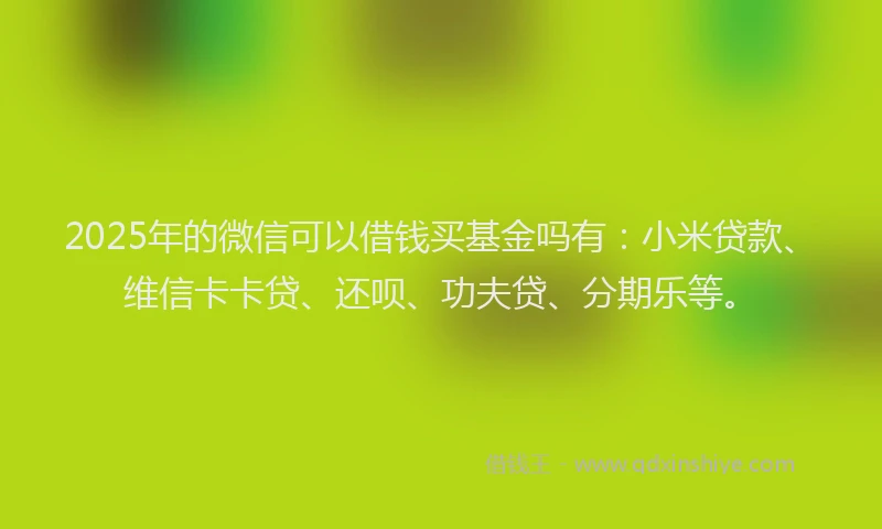 2025年的微信可以借钱买基金吗有：小米贷款、维信卡卡贷、还呗、功夫贷、分期乐等。