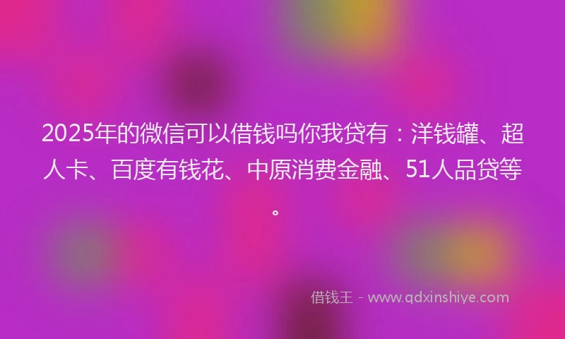 2025年的微信可以借钱吗你我贷有：洋钱罐、超人卡、百度有钱花、中原消费金融、51人品贷等。