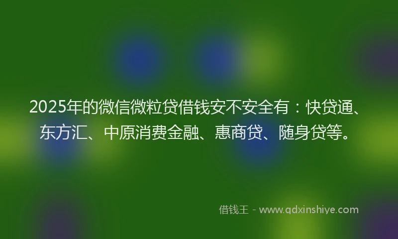 2025年的微信微粒贷借钱安不安全有：快贷通、东方汇、中原消费金融、惠商贷、随身贷等。