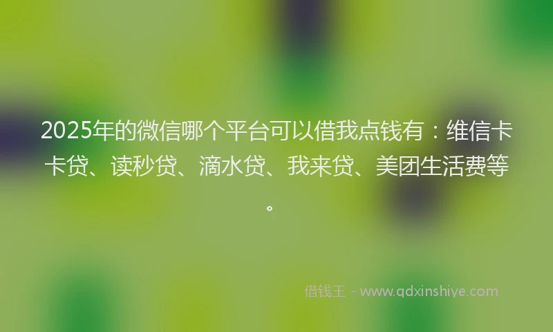 2025年的微信哪个平台可以借我点钱有：维信卡卡贷、读秒贷、滴水贷、我来贷、美团生活费等。