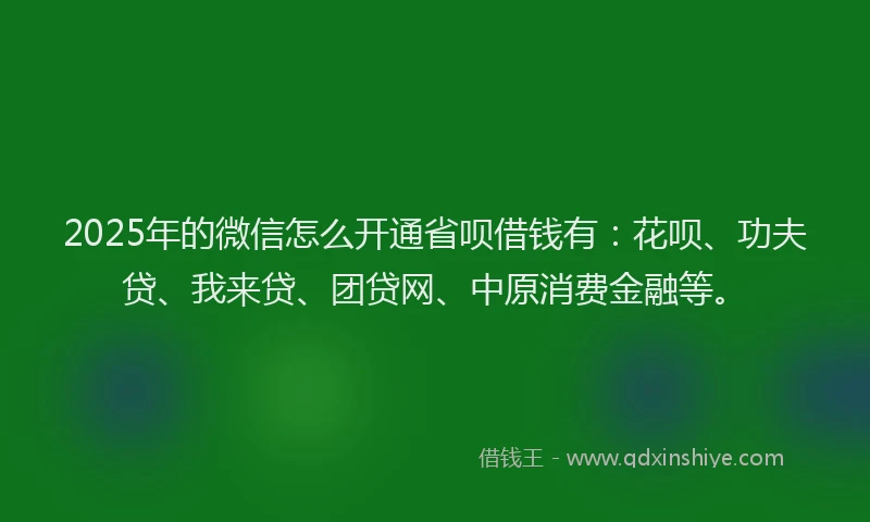 2025年的微信怎么开通省呗借钱有：花呗、功夫贷、我来贷、团贷网、中原消费金融等。