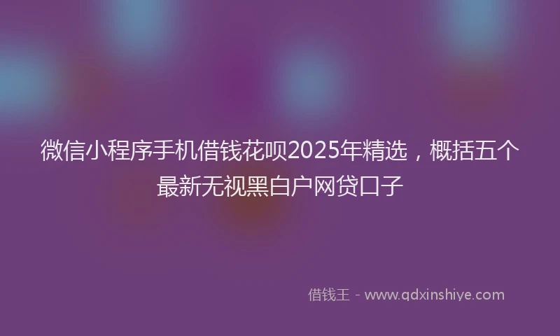微信小程序手机借钱花呗2025年精选，概括五个最新无视黑白户网贷口子