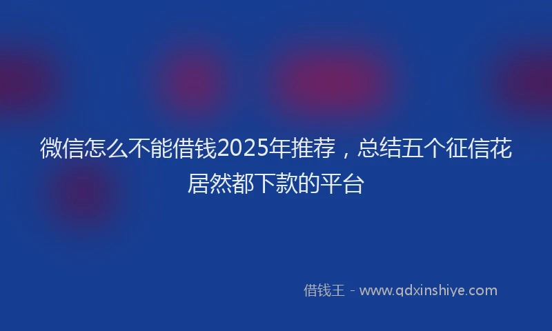 微信怎么不能借钱2025年推荐，总结五个征信花居然都下款的平台
