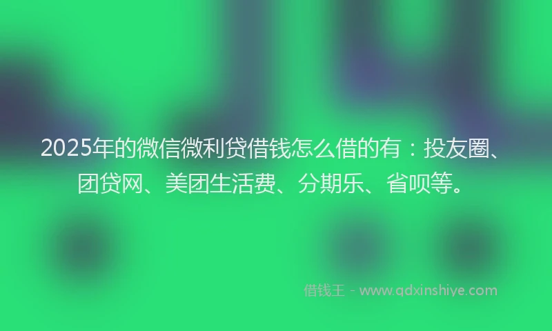 2025年的微信微利贷借钱怎么借的有：投友圈、团贷网、美团生活费、分期乐、省呗等。