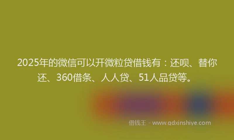 2025年的微信可以开微粒贷借钱有：还呗、替你还、360借条、人人贷、51人品贷等。