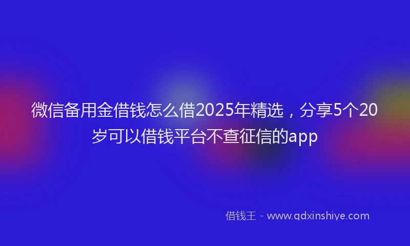 微信备用金借钱怎么借2025年精选，分享5个20岁可以借钱平台不查征信的app